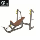 Pin Loaded Incline Bench Om7031 Gym Fitness Equipment