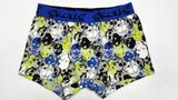 New Print Design Children Underwear Boy Boexr Short Boy Brief with Eco Permit