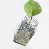 Glitter Powder Applied to The Decoration of Clothing
