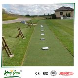 Artificial Carpet Golf Tennis Golf Putting Green Grass