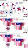 Customized American Hockey League Rochester Americans Hockey Jersey