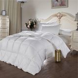 Home Textile Hotel Quality Printed Cotton Cover Feather Down Quilt