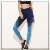OEM Wholesale High Waist Women Sports Leggings Yoga Pants