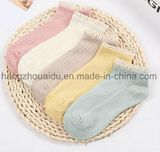 Candy Color Lace Comfortable Cotton Hot for Ladies Ankle Sock