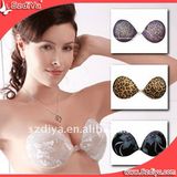 Adhesive Women Sexy Underwear Lace Bra Set (DY-0012)