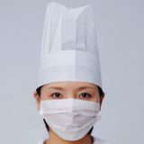 2 Ply Paper Mask with Ear Loop (HYKY-01112)