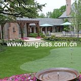 Synthetic Grass Carpet for Landscape or Garden (QDS-6S-20)