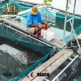 Salable Aquaculture Use Screen Frog Feeding/Breeding/Culturing Net