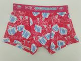 Allover Ice Printed Boy Boxer Underwear