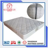 2016 Wholesale Cheap Tight Top Mattress /Pocket Coil Spring Mattress