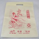 Customized Color Non Woven Foldable Shopping Bag/Garment Bag