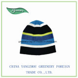 2017 Fashion Promotional Multicolor Warm Knit Hat