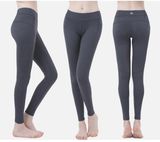 Sexy Mesh Ladies Pants High Spandex Sportswear