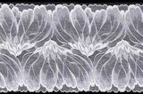 Elastic Nylon Lace Fabric with Lotus Lca65132