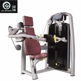 Pin Loaded Lateral Raise Machine Sm8004 Gym Fitness Equipment