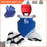 China Supplier Expert Taekwondo