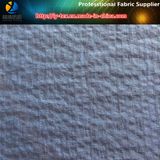 New Design! Nylon Fabric in Ripstpop for Jacket in Korea