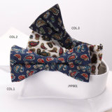Printed Paisley Casual Men's Bow Tie