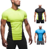 Men's Sports Running Dry Fit Polyester T-Shirt