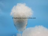 China Washed White Goose Down 90% for Comforter and Bedding