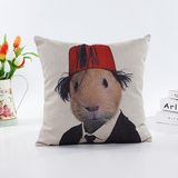Decorative Faux Linen Transfer Print Cushion Fashion Pillow (LPL-626)