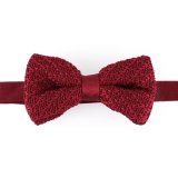 New Design Fashion Solid Color Knitted Bowtie (YWZJ 22)