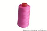Sewing Thread for Embroidery603