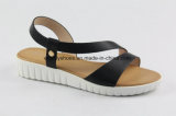 New Arrival Lovely Flat Sandal Lady Shoes for Summer