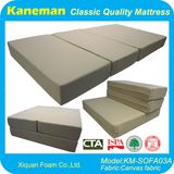 Gymnastic Indoor Floor Foldable Foam Mattress