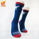 Cotton, Sport, Man Tube Sport, Professional Student Sport Sock,