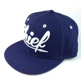 Sport Cap Flat Peak Hat Baseball Caps Snapback Cap