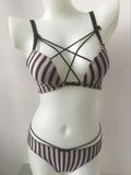 Sexy Plunge Bra and Panty for Ladies (CS03220)
