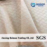 Hot Nylon and Spandex Jacquared Fabric for Ladies Clothes