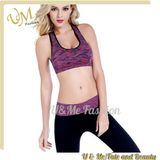 Low Price Ladies Sports Bra Tops Fitness Yoga Suit Sportwear