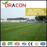 Artificial Grass Carpet for Sports Field (G-5001)