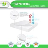 Bedbug Mattress Encasement Queen Size Fits up to 17