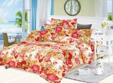 Microfiber Printed Complete Bedding Sheet Set with Soft and Cozy Touch