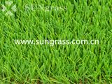 40mm Synthetic Carpet for Garden or Landscape (SUNQ-AL00042)