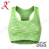 Seamless Yoga Top/ Sports Bra (QF-S343)