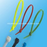 Free Sample Nylon Zip Tie for Indoor Use