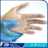 Medical Vinyl Gloves in a Cardboard Paper