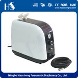 HSNEG Mini Piston Air Compressor Hs-386
