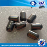 Tungsten Carbide Buttons Type Sq1625e20