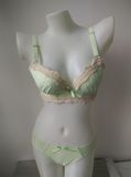 China Fashion Lovely Bra and Panty Set (CS01118)