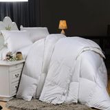 China Wholesale Patchwork White Goose Down Quilt for Home