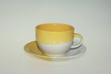 Multicolor Cup&Saucer for Daiy Use