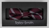 New Design Fashion Men's Woven Bow Tie (DSCN0100)