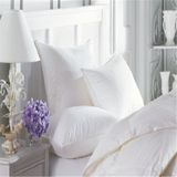Cheap Adults Rectangle 100% White Duck Down Pillow