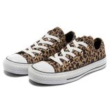 Low Cut Comfortable Brown Leopard Canvas Shoes with Cheap Prices