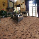 N367-Rolled 1/8 Nylon-PA6 Cut &. Loop Woven Full-Width Repeat Office/Hotel/House Carpet